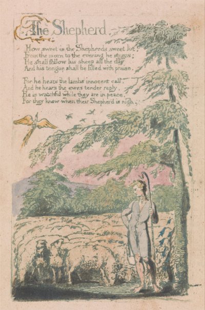Songs of Innocence and of Experience, Plate 4, The Shepherd (Bentley 5) od William Blake