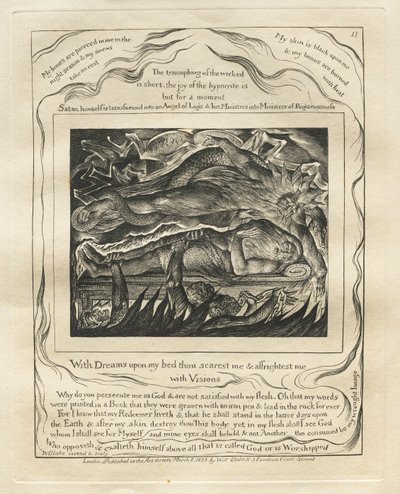 Kniha Job: Pl. 11, Se sny na mé posteli mě děsíš a děsíš / s vizemi od William Blake