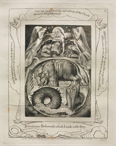 Kniha Job: Pl. 15, Hle, nyní Behemot, kterého jsem s tebou udělal od William Blake