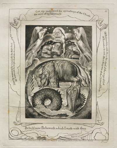 Kniha Job: Pl. 15, Hle, nyní Behemoth, kterého jsem s tebou udělal, 1825. od William Blake