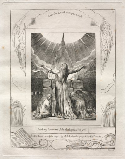 Kniha Job: Pl. 18 A můj služebník Job se bude za tebe modlit od William Blake