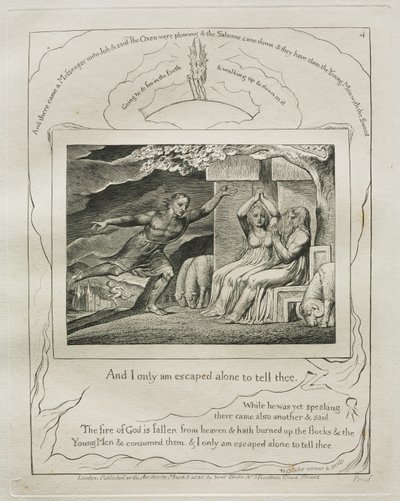 Kniha Job: Pl. 4, A já jsem utekl jen sám, abych ti to řekl od William Blake