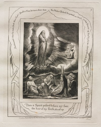 Kniha Job: Pl. 9, Tehdy mi před tváří prošel Duch / vstávaly vlasy z mého těla od William Blake