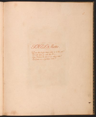 Kniha Thel, deska 1, motto Thels ... od William Blake