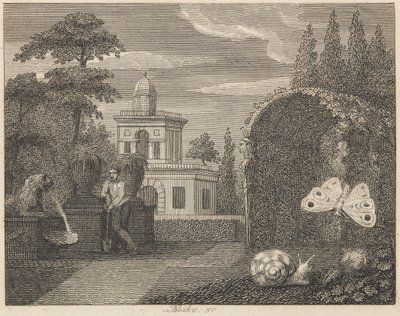 Motýl a šnek od William Blake