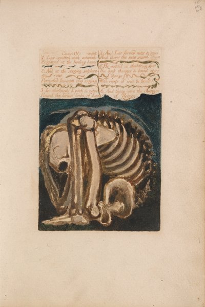 První kniha Urizena, talíř 12, Los Smitten s úžasem ... (Bentley 8) od William Blake