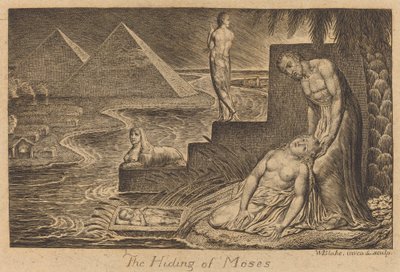 Ukrývání Mojžíše, 1824. od William Blake