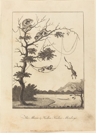 The Mecoo & Kisbee Kishee Monkeys, 1793. od William Blake