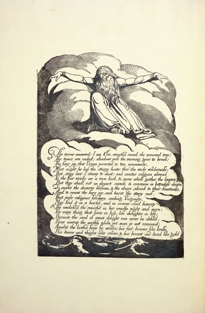 The Terror Answered, polovina 90. let 18. století od William Blake