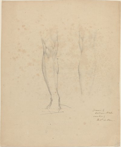 Dvě nohy od William Blake