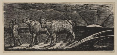 Unyokd Heifers, Loitering Homeward, z Thorntons Pastorals of Virgil, 1821. od William Blake