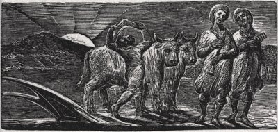 With Songs the Jovial Hinds Return from Plow, ilustrace z Dr. Thorntona 