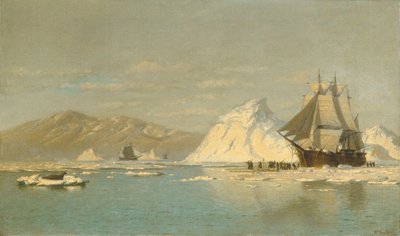  od William Bradford
