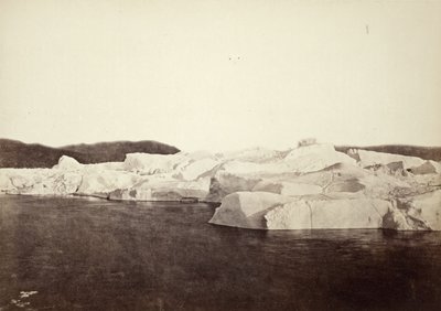  od William Bradford