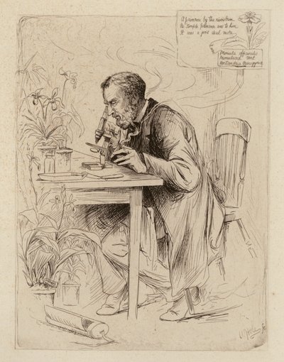 Alexander Dickson, profesor botaniky (rytina) od William Brassey (after) Hole