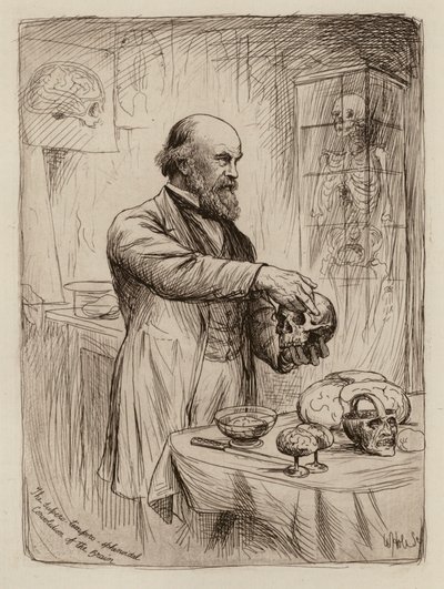 William Turner, profesor anatomie (rytina) od William Brassey (after) Hole