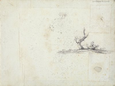 vnitřní přední strana obálky: Sketch of a Tree (obrácená) od William Brockedon