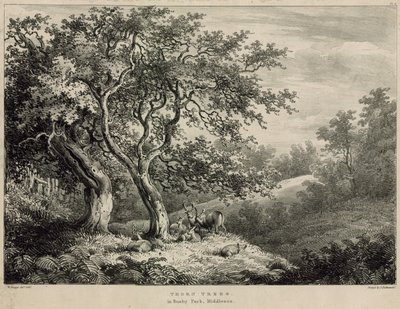 Trnové stromy v Bushy Park, Middlesex od William Burges