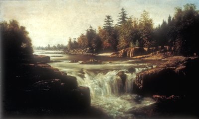Malé vodopády řeky Passaic (olej na plátně na kartonové podložce) od William Charles Anthony Frerichs