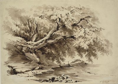 Krajina se stromy přečnívajícími nad jezerem od William Collingwood Smith