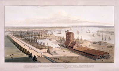 Brunswick Dock a East India Dock, Poplar, Londýn, 1803 od William Daniell
