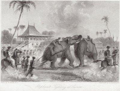 Sloni bojující u Lucknow od William Daniell