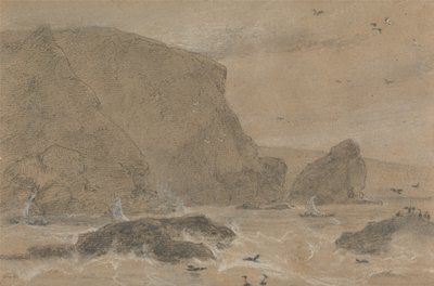 Skála s motarem, St. Agnes, Cornwall od William Daniell