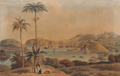 Pohled na město St. George a Richmond Heights na ostrově Grenada, pořízený ze zálivu podplukovníkem Wilsonem, 1819 od William Daniell