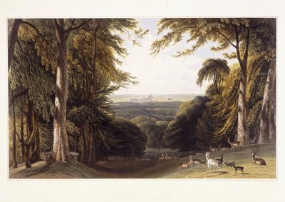 Zámek Windsor z Deer Park, c.1827-1829 od William Daniell