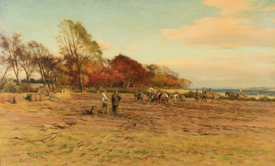 Sbírání brambor od William Darling McKay
