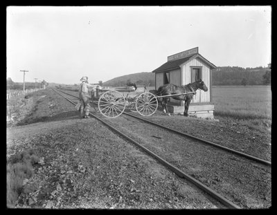 Neznámý muž nakládá mléko na vozík tažený koňmi zaparkovaný nad železniční tratí před McCready farmou, Pensylvánie, kolem roku 1913 od William Davis Hassler