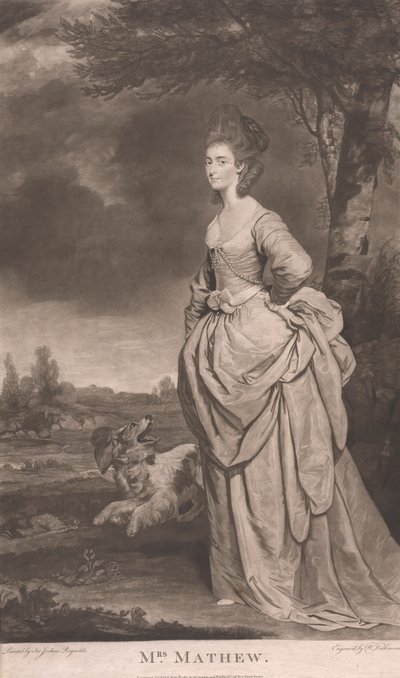 paní Mathewová od William Dickinson