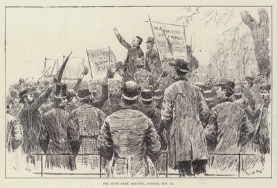 Setkání v Hyde Parku, neděle 20. listopadu od William Douglas Almond