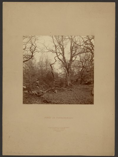 Les Fontainebleau od William Drooke Harrison