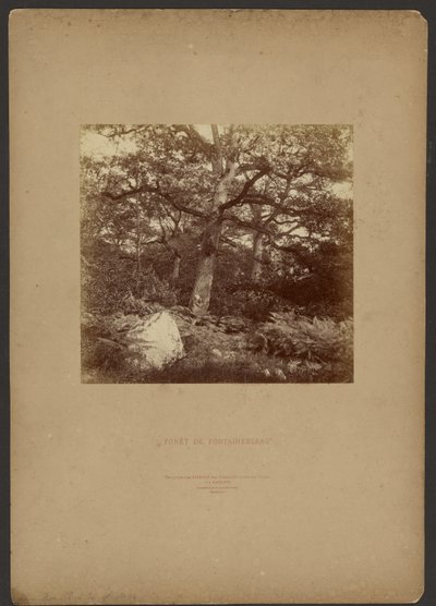 Les Fontainebleau od William Drooke Harrison