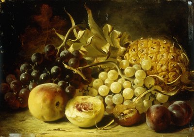 Zátiší s hrozny, broskvemi, švestkami a ananasem, 1861 od William Duffield