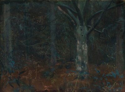 Starý Sycamore od William Edward Stott