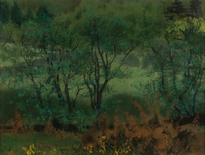 Woodland Scene, Brantrake od William Edward Stott