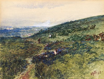 Pobřežní scéna od William Fettes Douglas