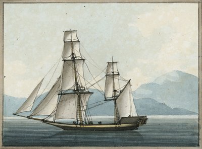 Bombay Grab od William Ffarington