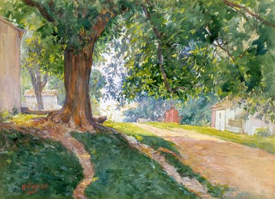 Ústavní jilm (akvarel a kvaš na špinavě bílém papíře) od William Forsyth