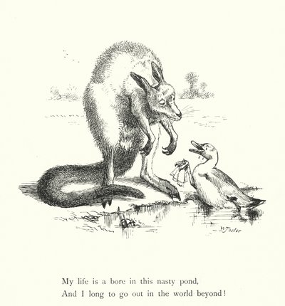 The Duck And The Kangaroo (rytina) od William Foster