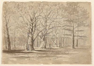 College Woods od William Fowler Hopson