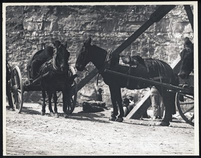 Horizontální, černobílá fotografie dvou vozů tažených koňmi v kamenolomu od William G. Swekosky