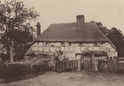 Poblíž Fittleworthu, Západní Sussex (čb fotografie) od William Galsworthy Davie