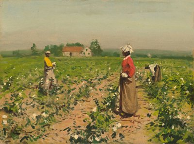 Sběr bavlny, c. 1890. od William Gilbert Gaul
