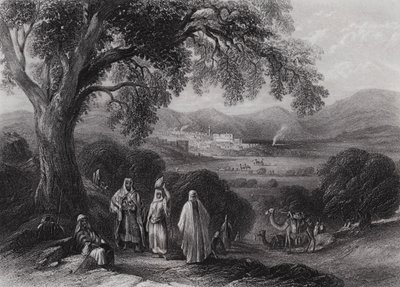 Vale of Nazareth (rytina) od William H. Bartlett