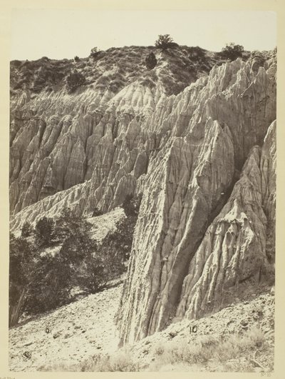 Rain Sculpture, Salt Creek Cañon, Utah od William H. Bell