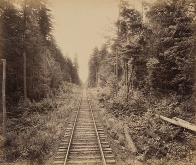 Les jedlovce od William H. Rau