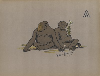 Písmeno A, Estetické antropoidní opice přijímající abnormálně apatické postoje (barevné lito) od William Hammond